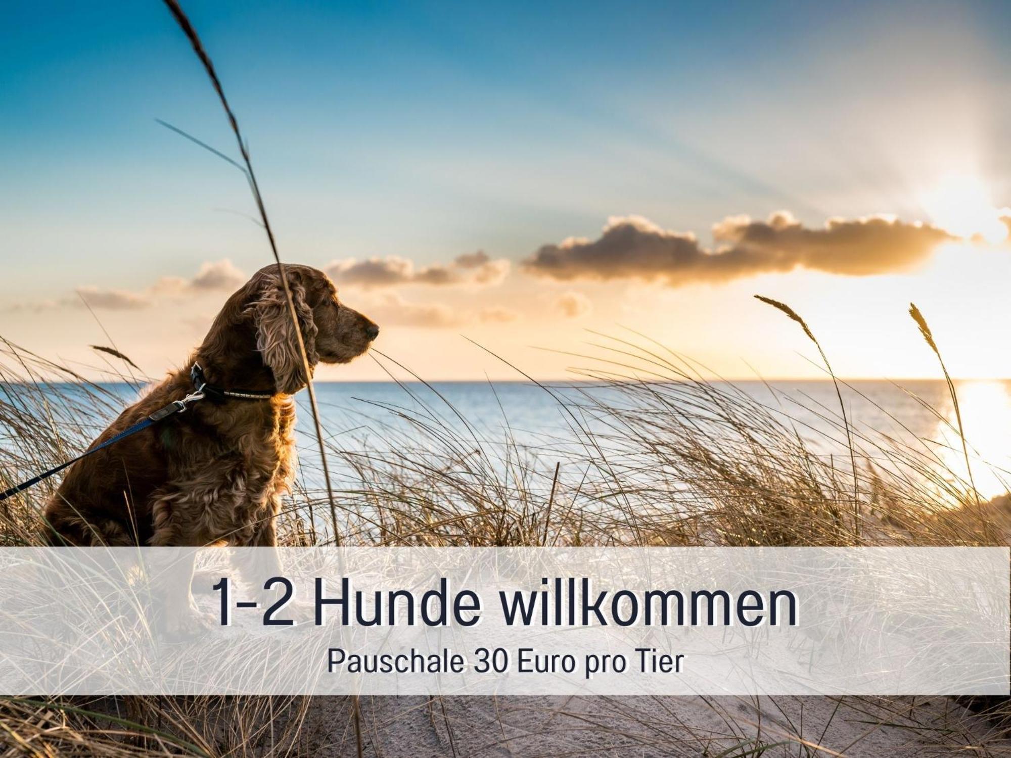 Penthouse - 3 Schlafzimmer- Sonnige Dachterrasse -Whirlpool & Alpenblick - Perfekt Fuer Romantik Oder Familienurlaub Mit Kind, Hund Willkommen - By Ferienwohnenamsee - ユーバーリンゲン エクステリア 写真