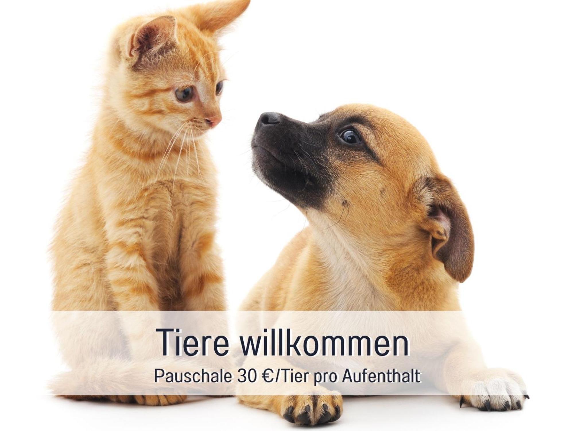 Penthouse - 3 Schlafzimmer- Sonnige Dachterrasse -Whirlpool & Alpenblick - Perfekt Fuer Romantik Oder Familienurlaub Mit Kind, Hund Willkommen - By Ferienwohnenamsee - ユーバーリンゲン エクステリア 写真